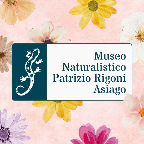 Attività presso il Museo Naturalistico "Patrizio Rigoni" 