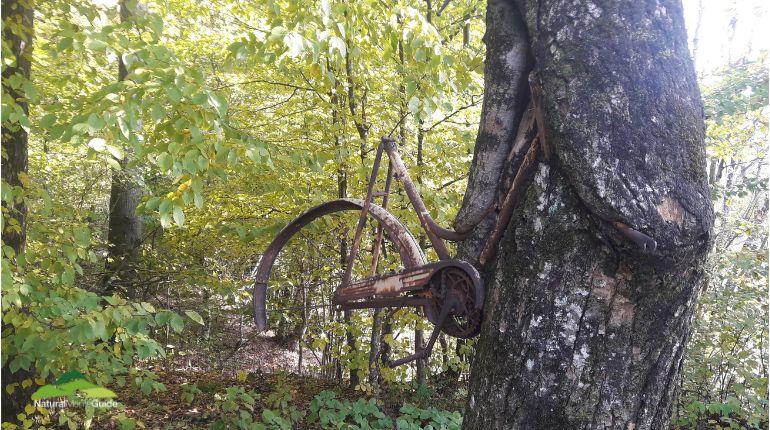 Escursione – una strana bicicletta