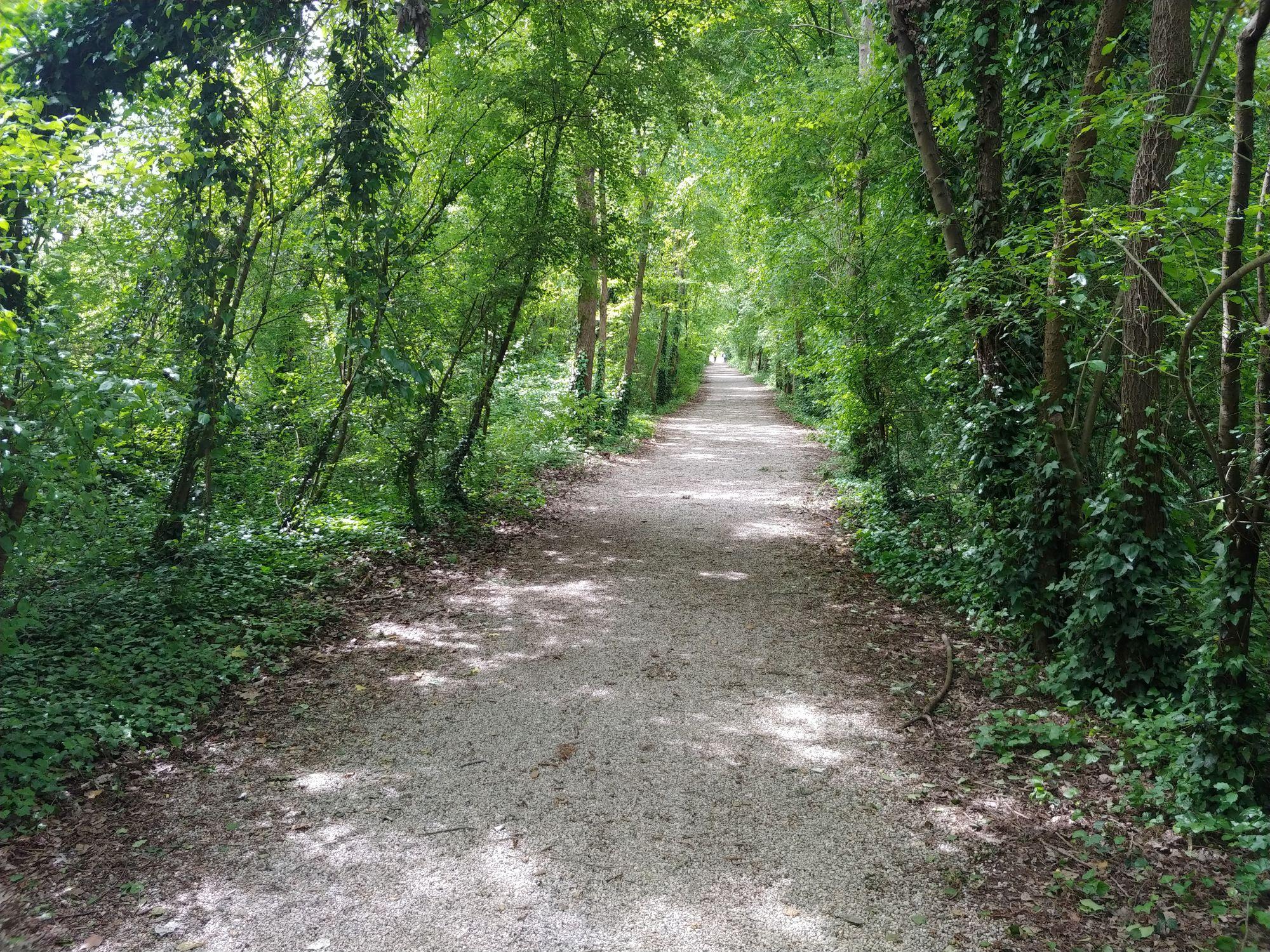 Parco dei Laghetti