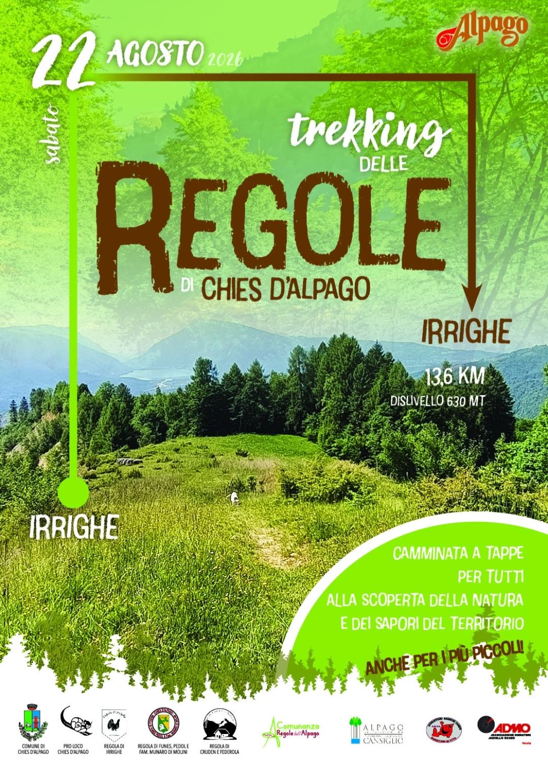 Trekking nei boschi antichi dell’Alpago