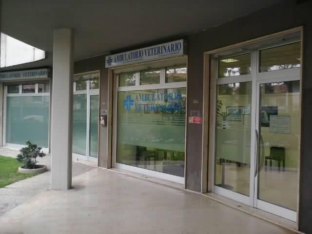 Ambulatorio Veterinario Nuove Gemme