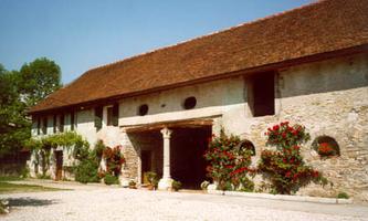 LA VIGNA D'ORO DI DALLA BERNARDINA LUCA