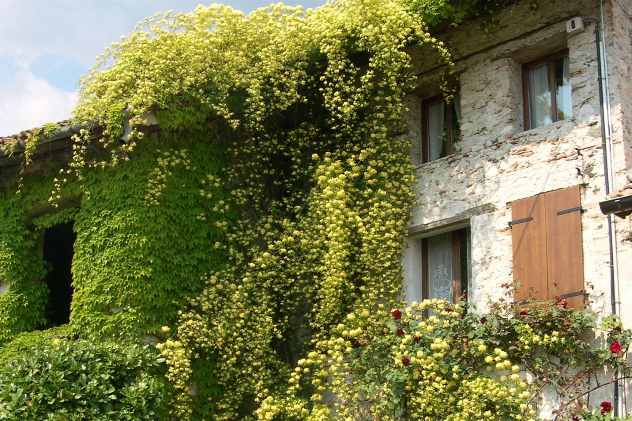 Le ville antiche di Feltre