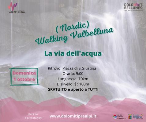 Immagine2
