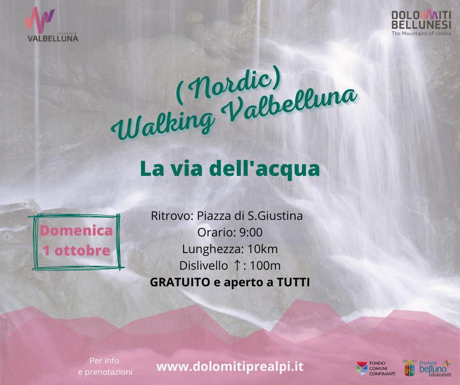 Immagine2