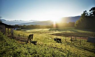 Agriturismo Terra Umana