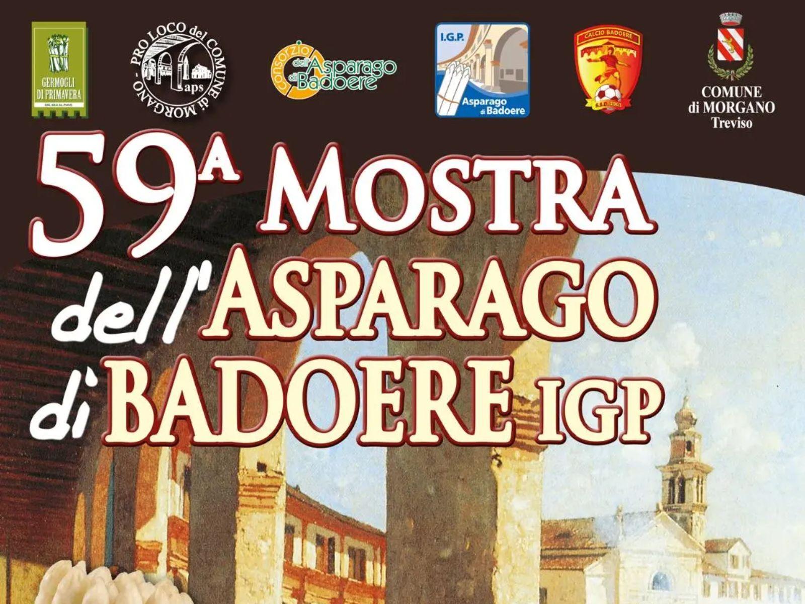 Mostra dell'Asparago di Badoere IGP