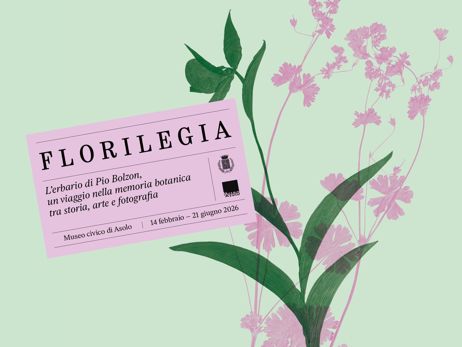 Florilegia Asolo