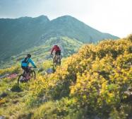 Bike&Go Travel Sas - 2