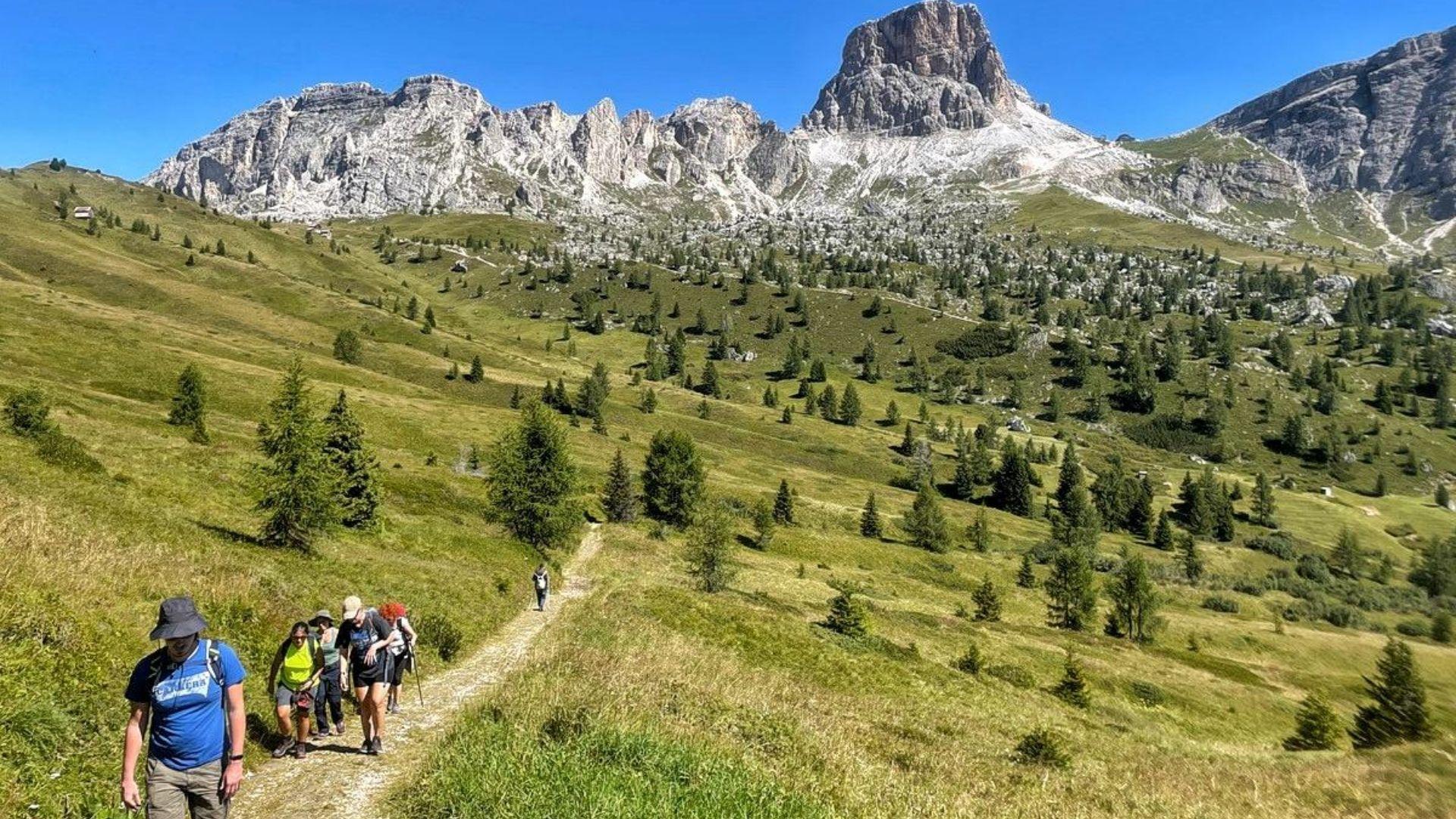 Passeggiata erboristica e pranzo al rifugio Averau