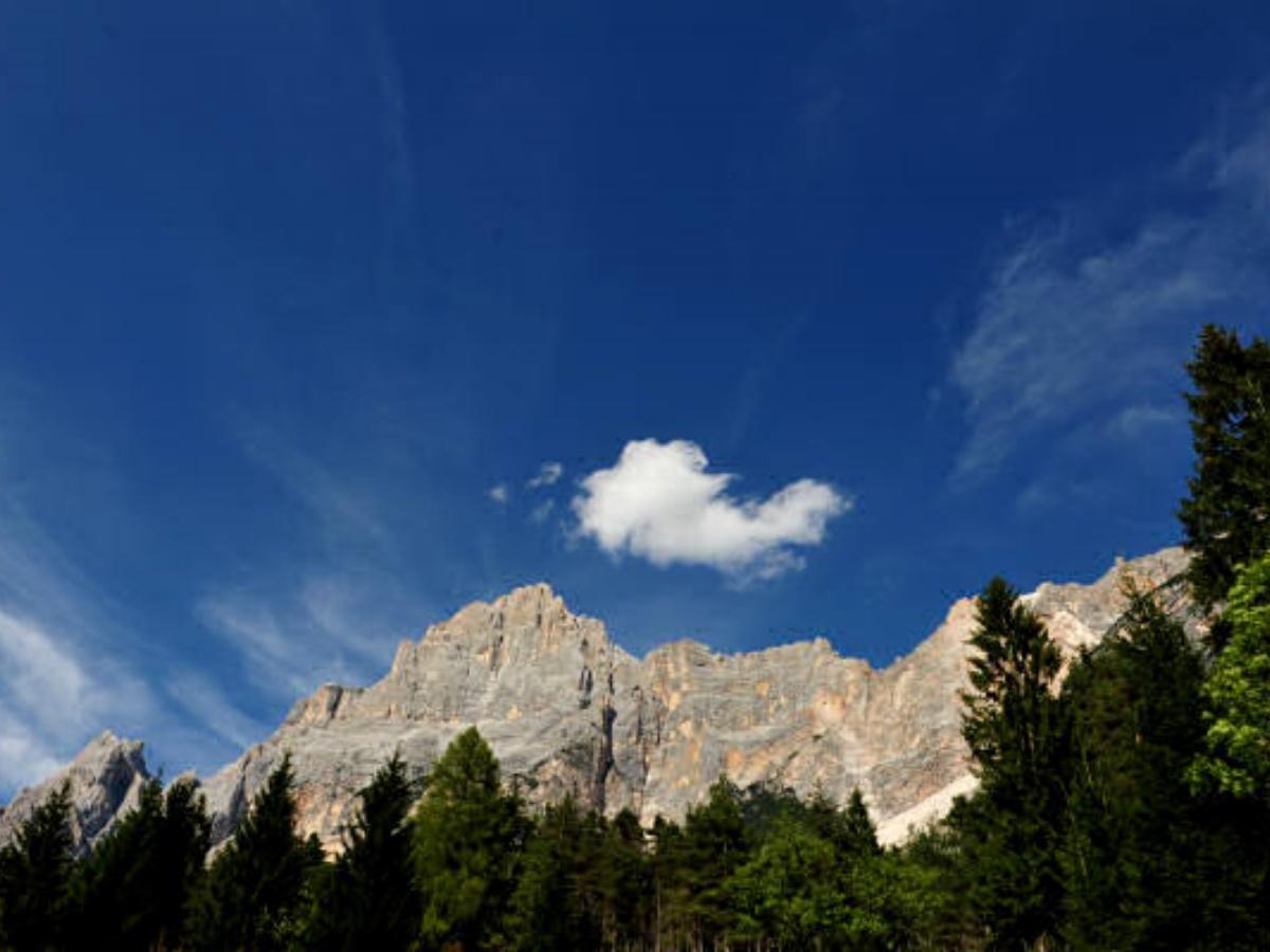 Percorso Nordic Walking - 2