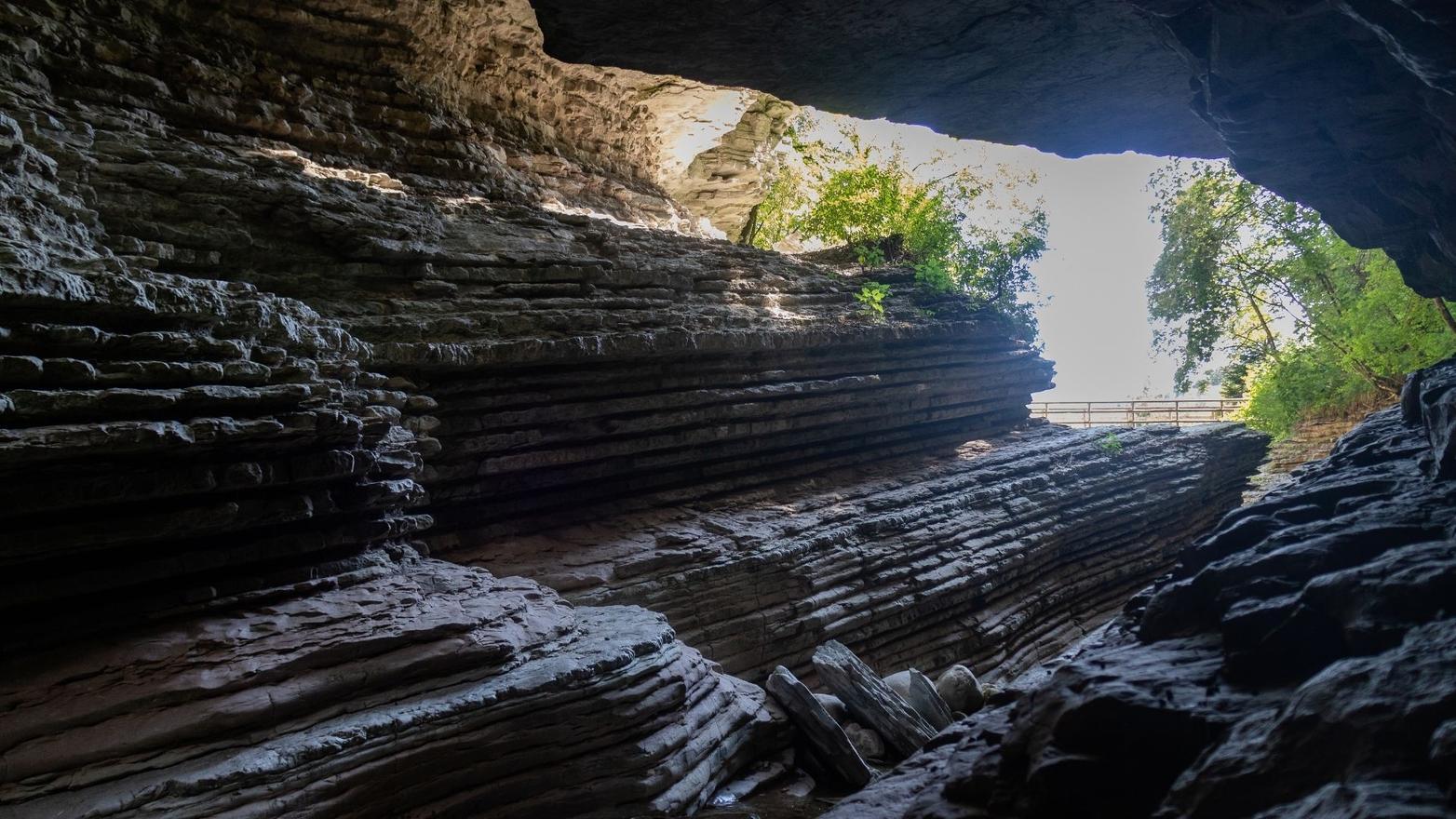 Escursione naturalistica alla scoperta dei Brent de l’Art