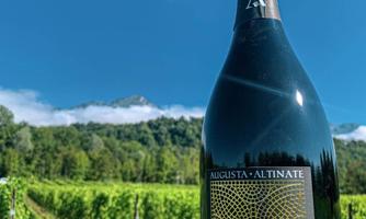 Società Agricola Augusta Altinate