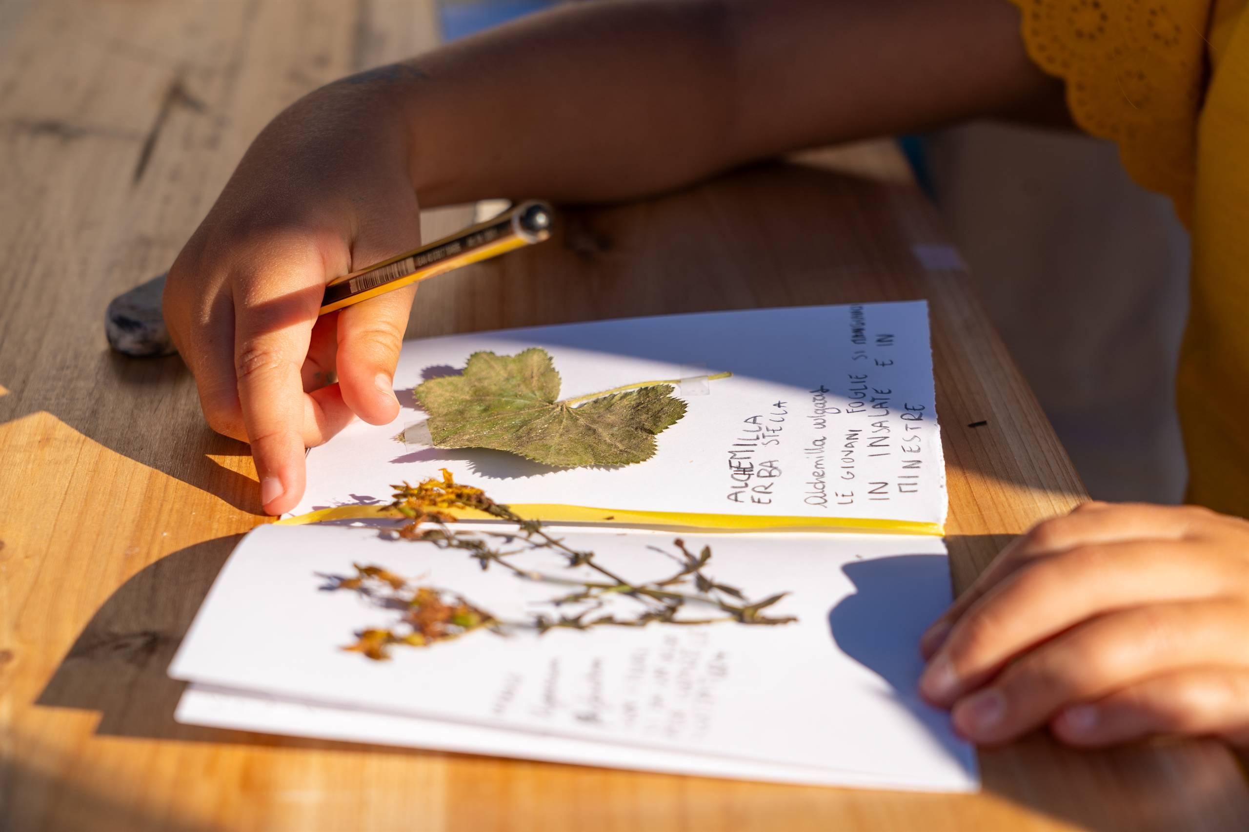 Lusèrn - Il Borgo dei Desideri