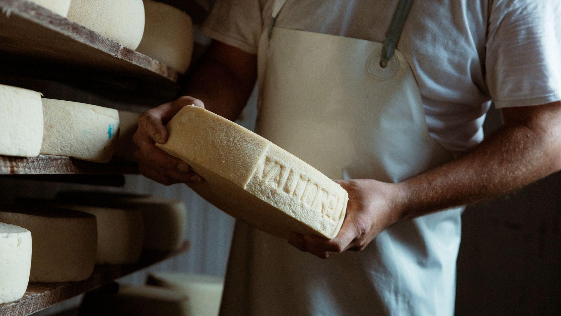 Il Buongiorno del Casaro