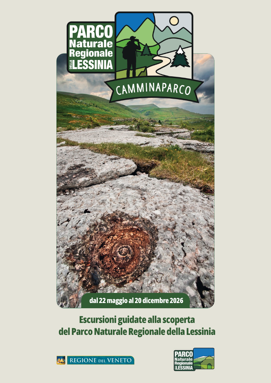 Escursioni guidate alla scoperta della Lessinia
