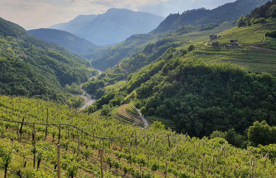 San Leonardo e le campagne di Lisignago - Curiosi tutto l'anno