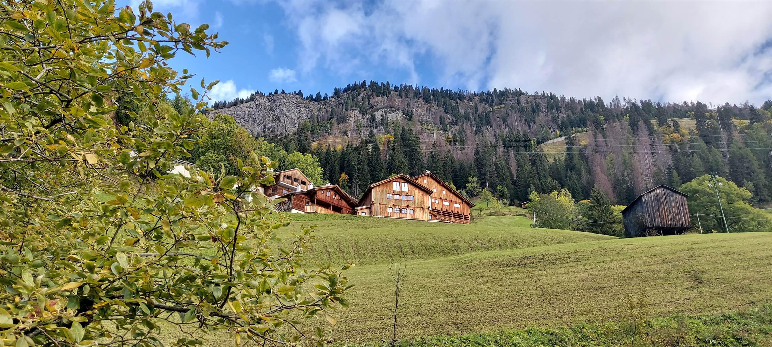 APPARTAMENTI ANTICA DIMORA BOSCO VERDE