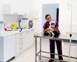 Ambulatorio Veterinario Laghetti