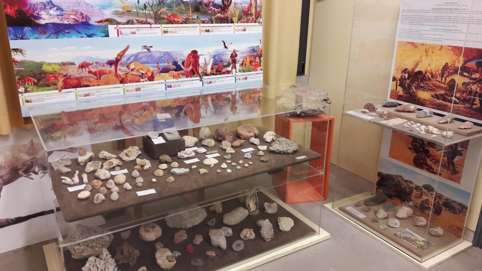 Museo archeologico Mino Meduaco