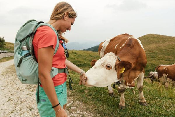 Incontri in malga