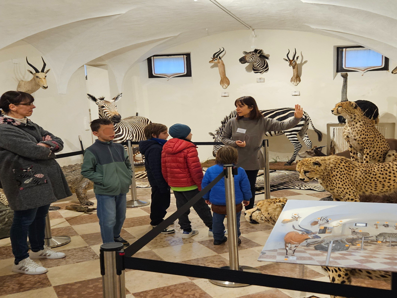 Visita guidata tattile