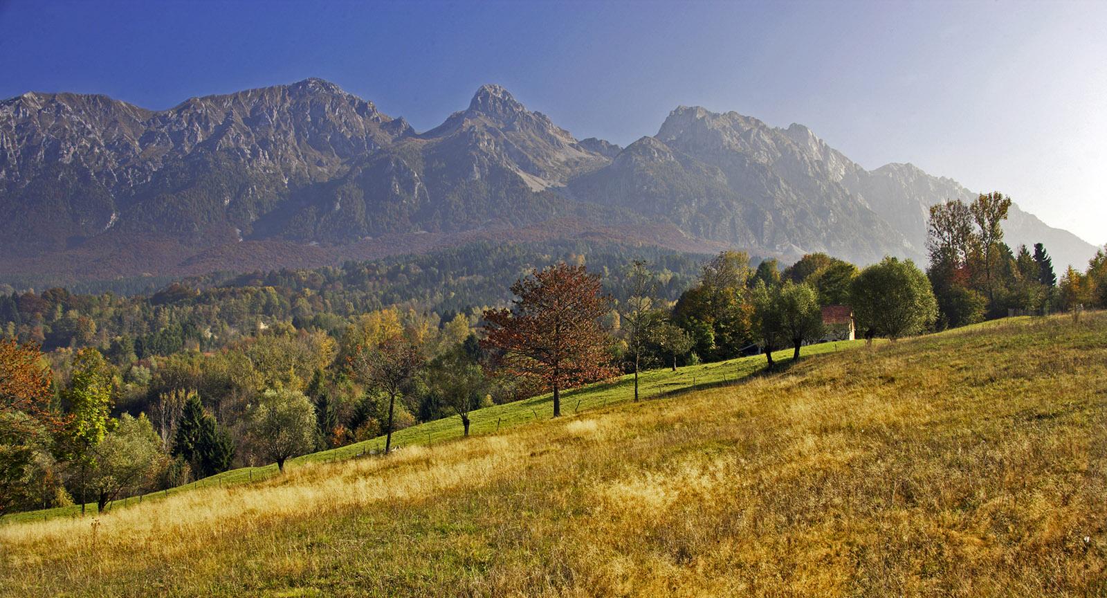 ALPAGO