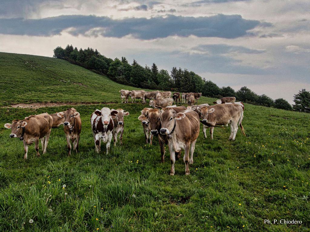 26° Festa della montagna