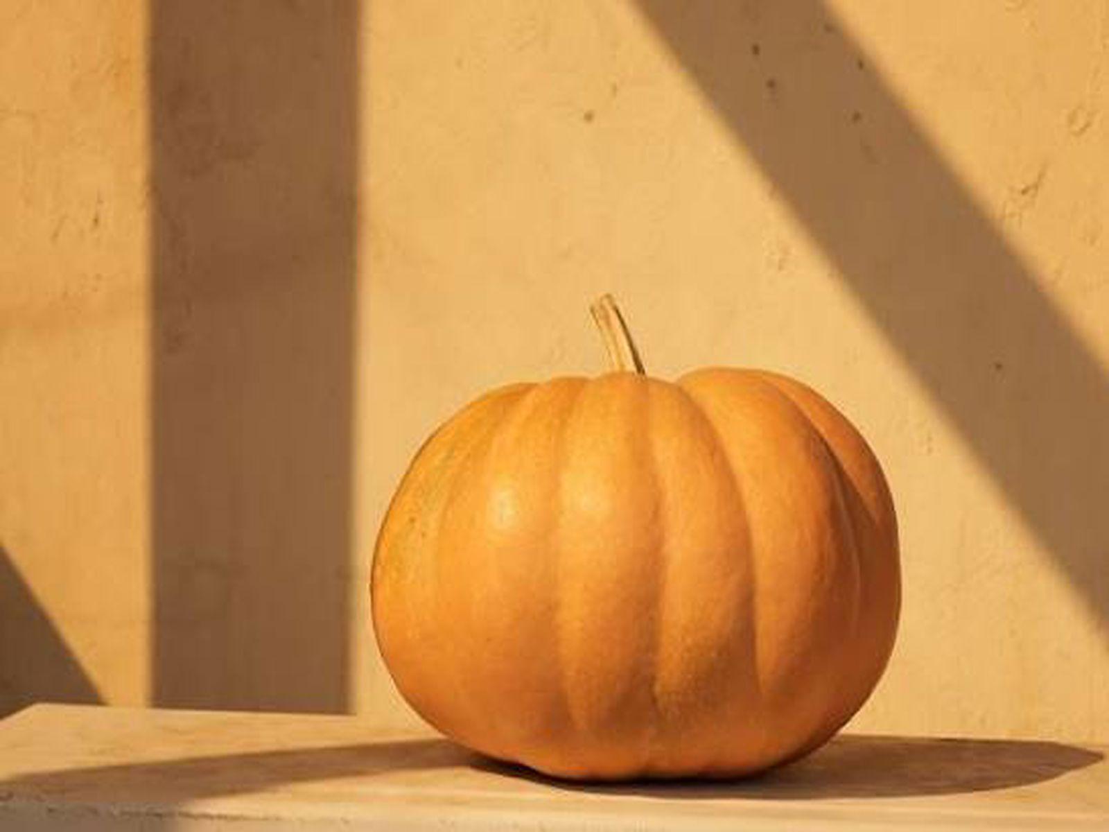 Festa della zucca e dei frutti antichi