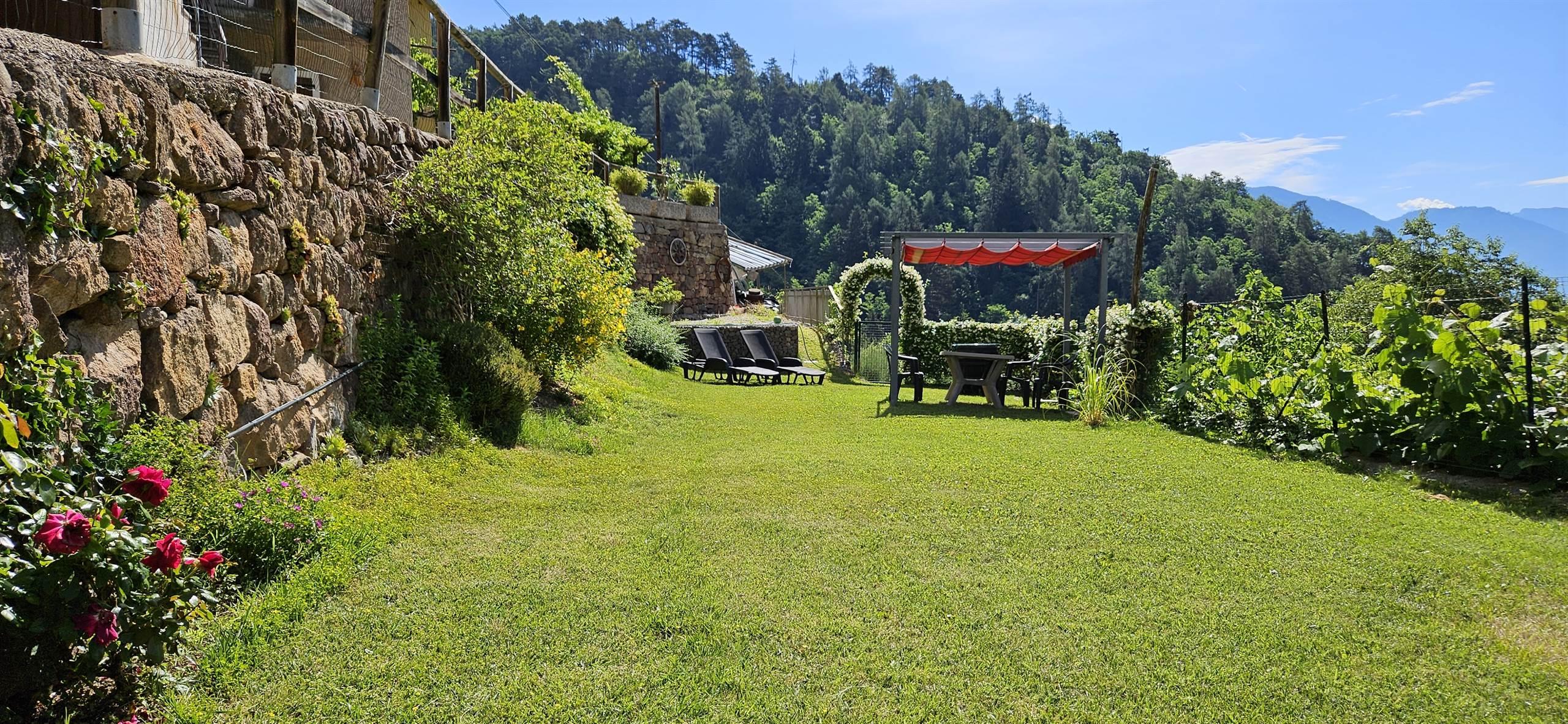 Giardino soleggiato sotto casa