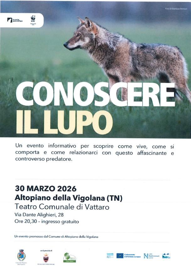 Conoscere il lupo