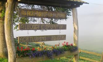 LE CODE DI VERONESE MILO