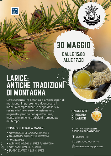 LARICE :ANTICHE TRADIZIONI DI MONTAGNA