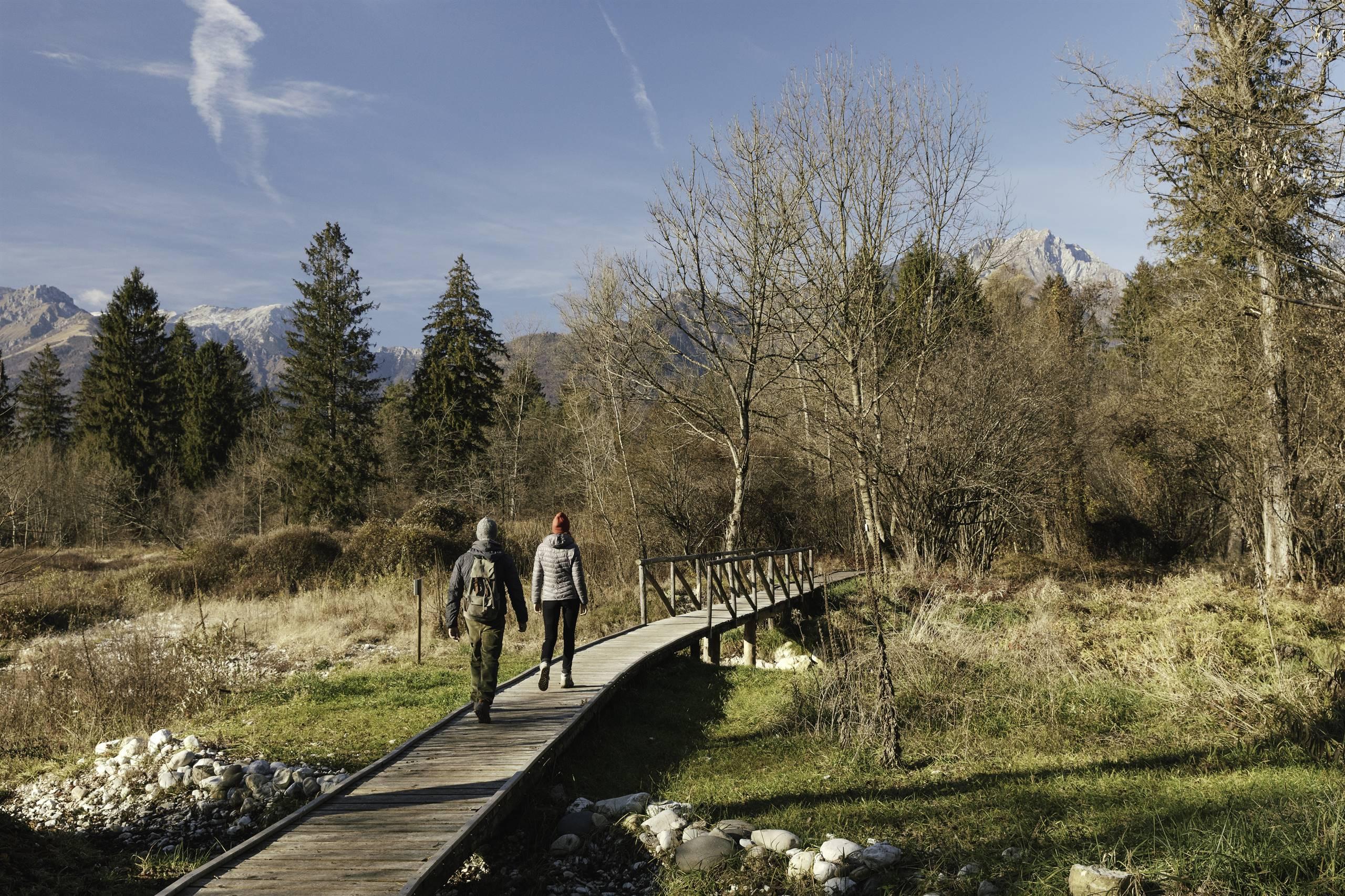Bau bau e Buon Anno Mazarol!