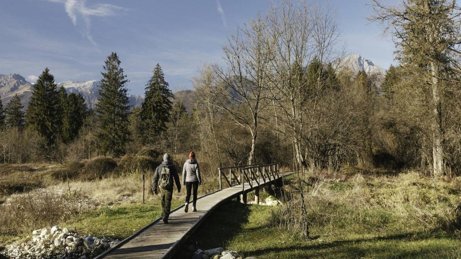 Bau Bau e Buon Anno Mazarol!