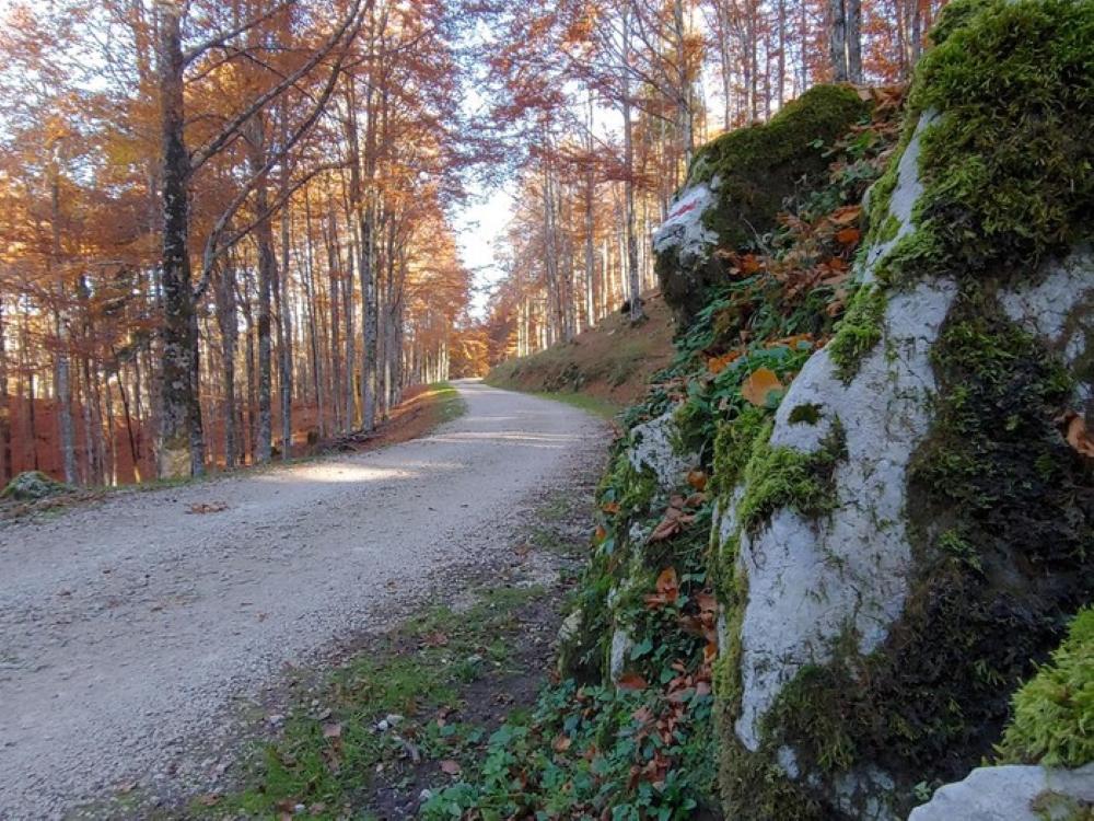 Sentiero Anello del Cansiglio Lungo