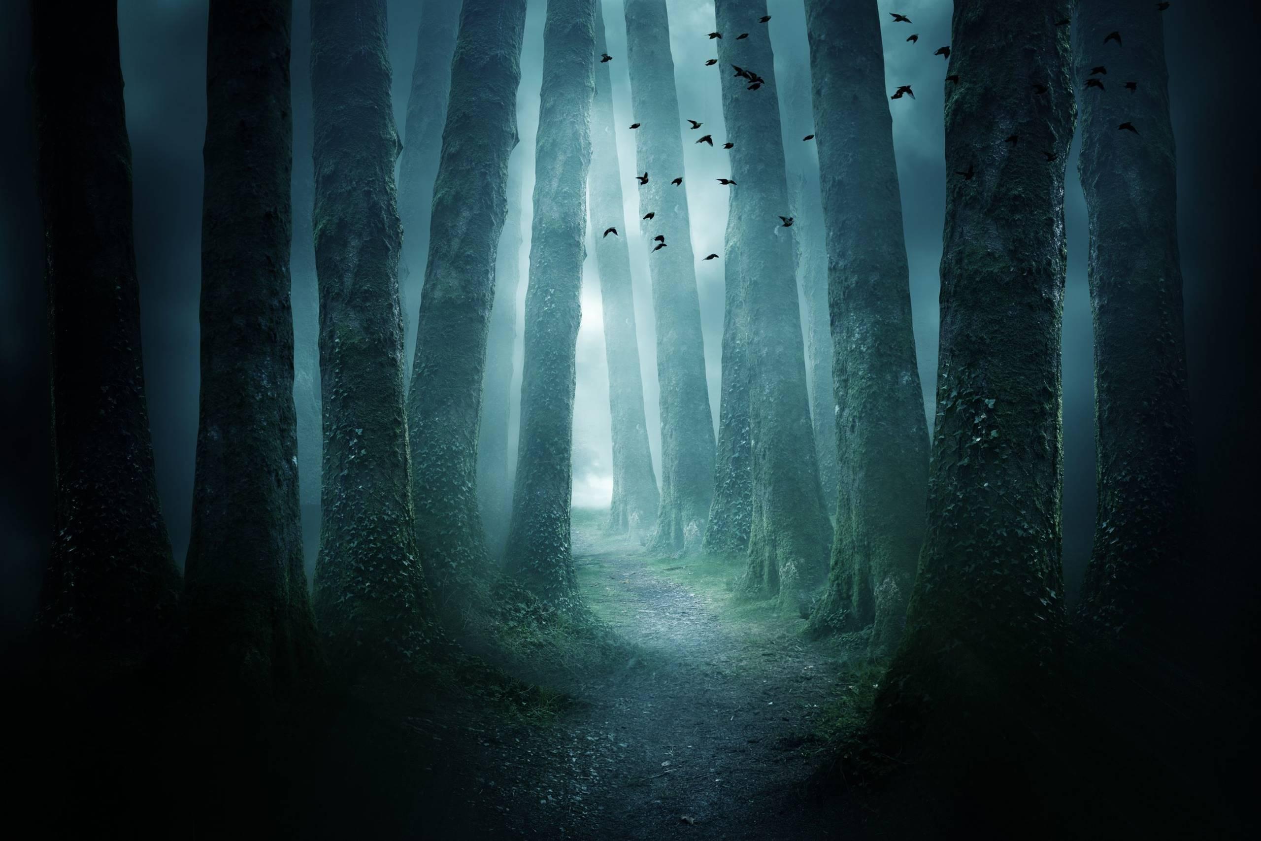 Veneto - Spettacoli di Mistero