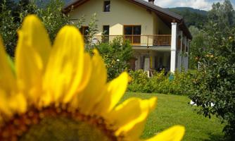 AGRITURISMO IL GIRASOLE