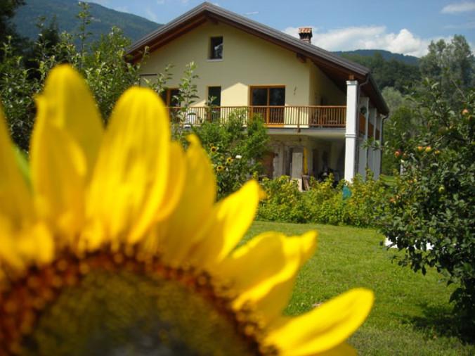 AGRITURISMO IL GIRASOLE