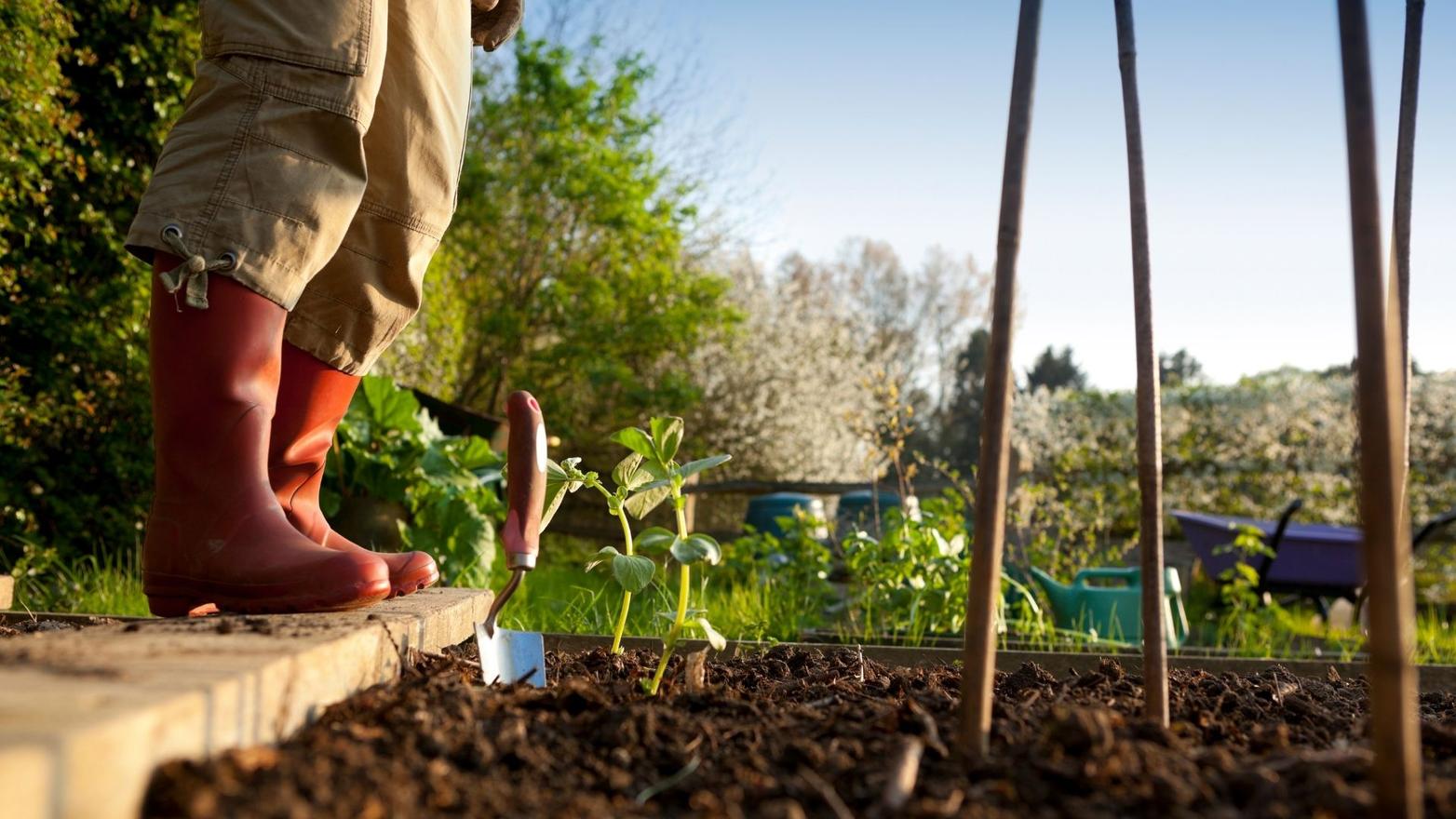 Incontro con l'agro-ecologo Dr.Luca Conte