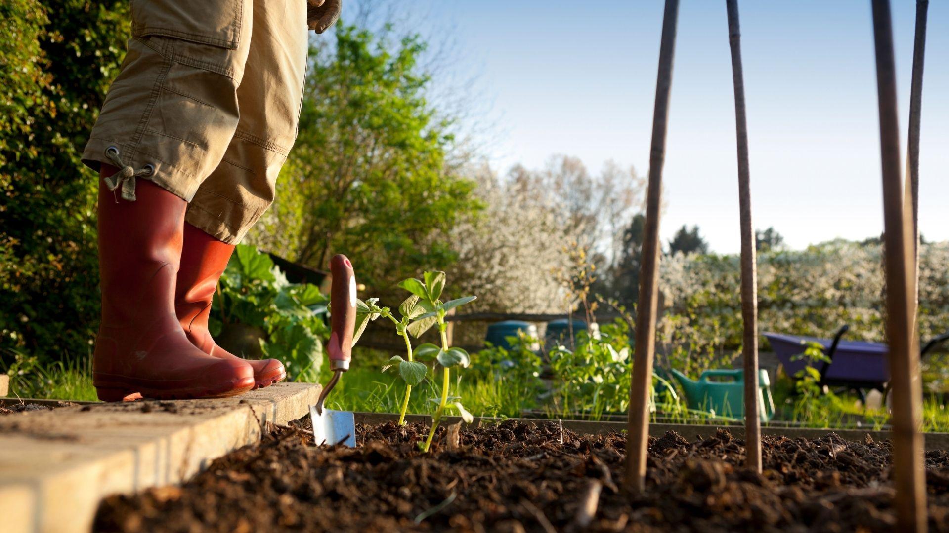 Incontro con l’agro-ecologo Dr.Luca Conte