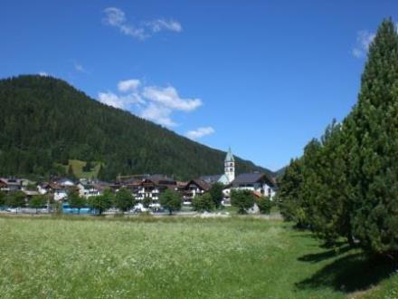 ALLE ALPI