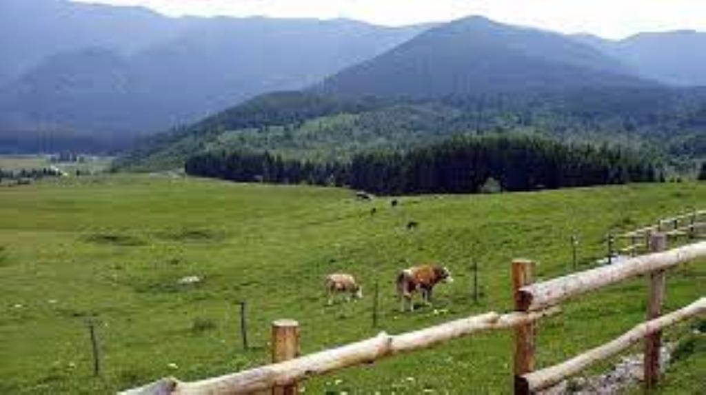 Agriturismo Valmenera