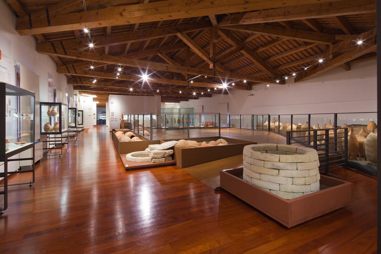 Visite guidate - Museo Archeologico ''Eno Bellis''