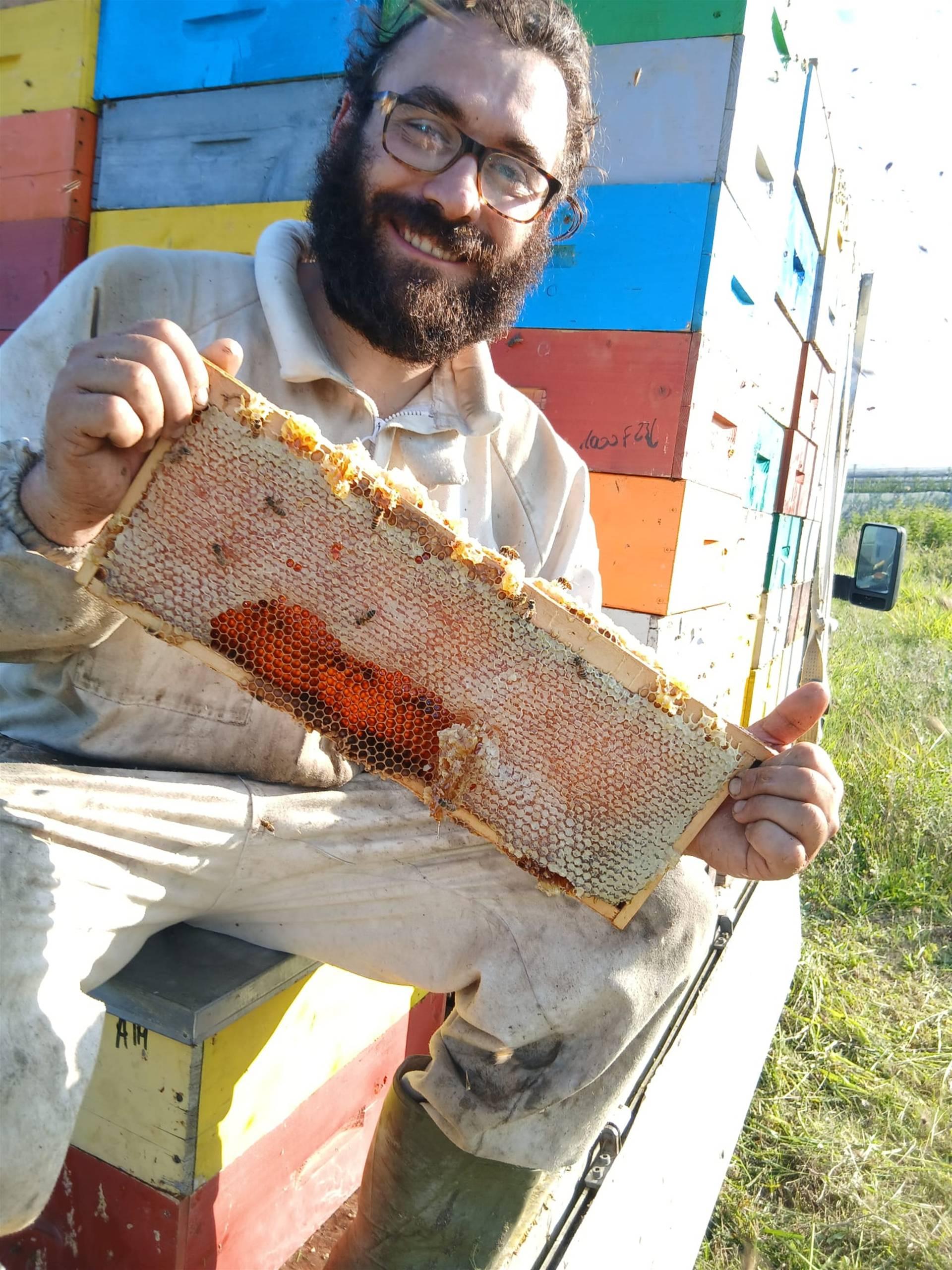 APICOLTURA TERAMAMA