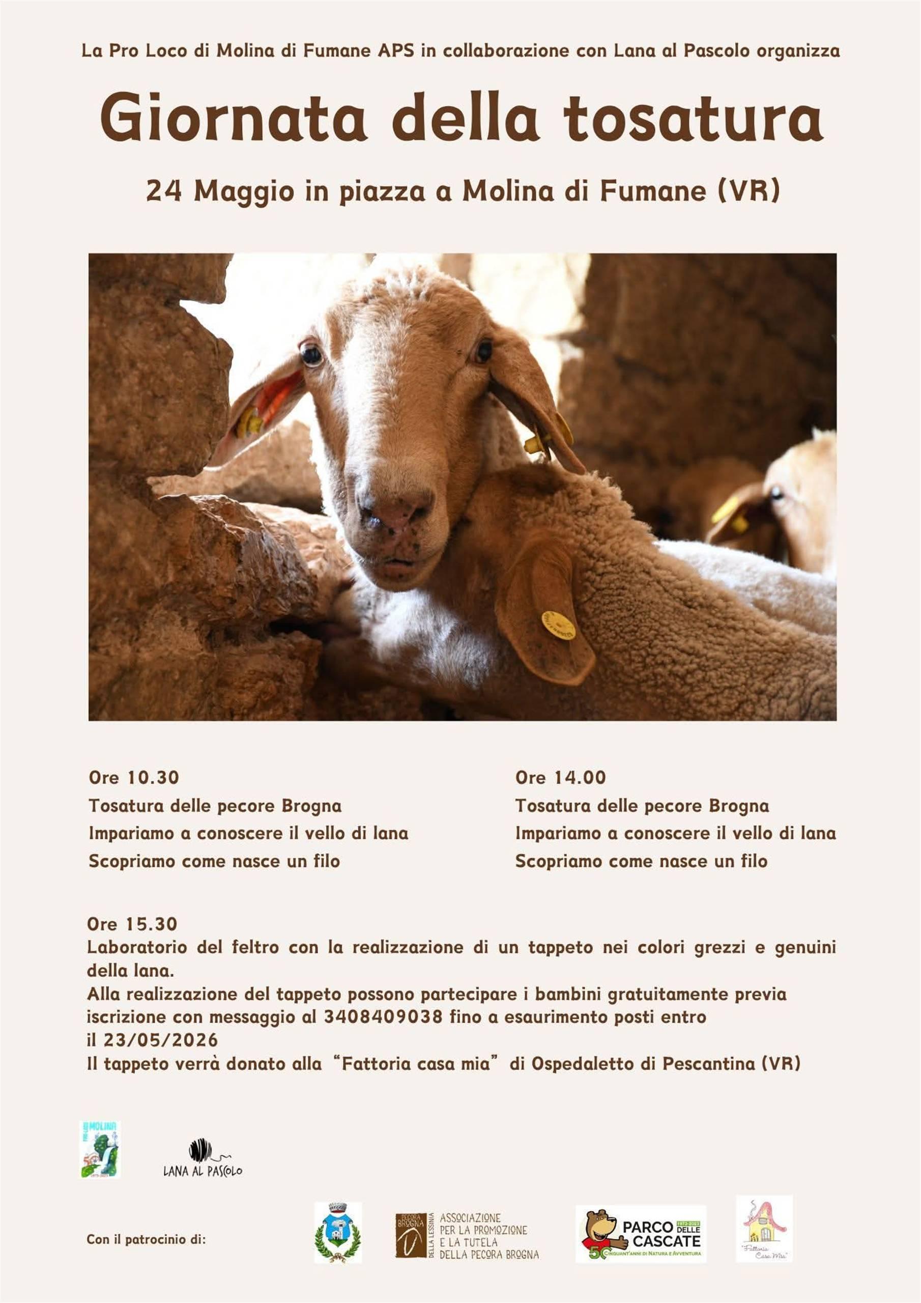 Giornata della tosatura