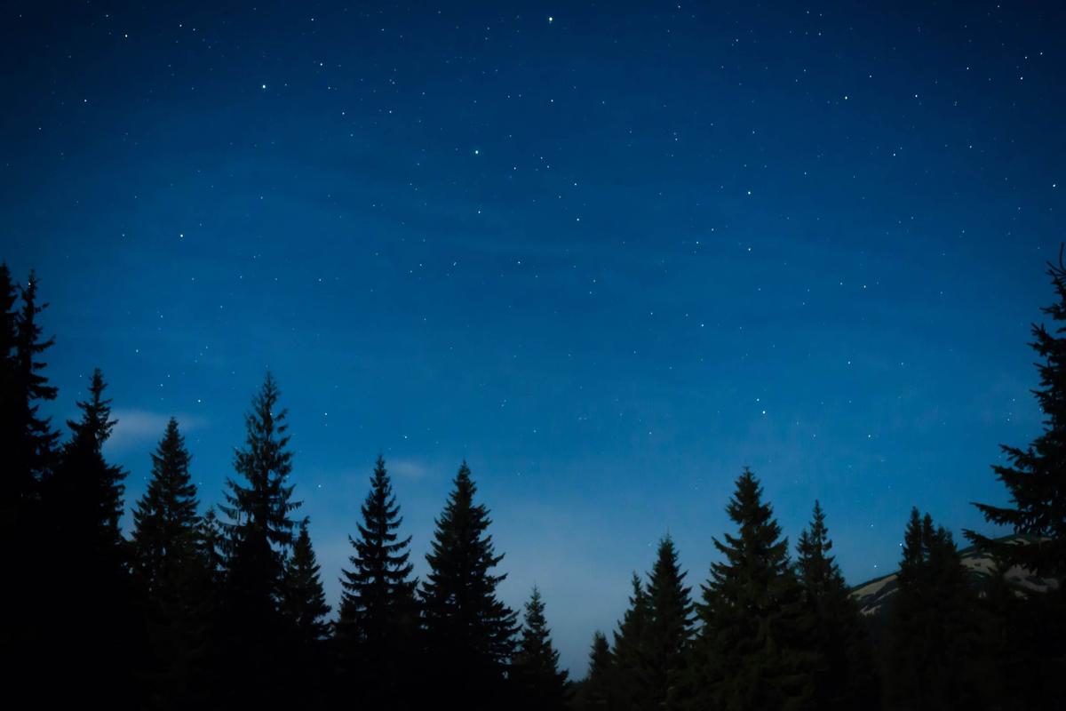 Le_stelle_del_Nevegal