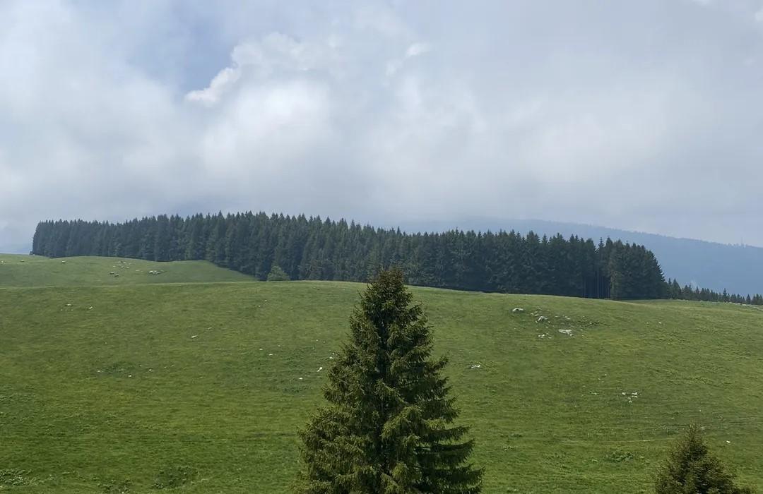 Anello della Biodiversità
