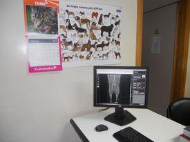 Clinica Veterinaria Dr. Giorgio De Rossi