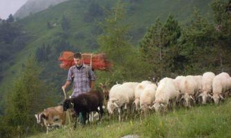 Azienda Agricola Bortoluzzi Davide